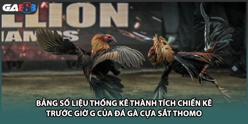 Bảng số liệu thống kê thành tích chiến kê trước giờ G của đá gà cựa sắt thomo tại nhà cái GA888