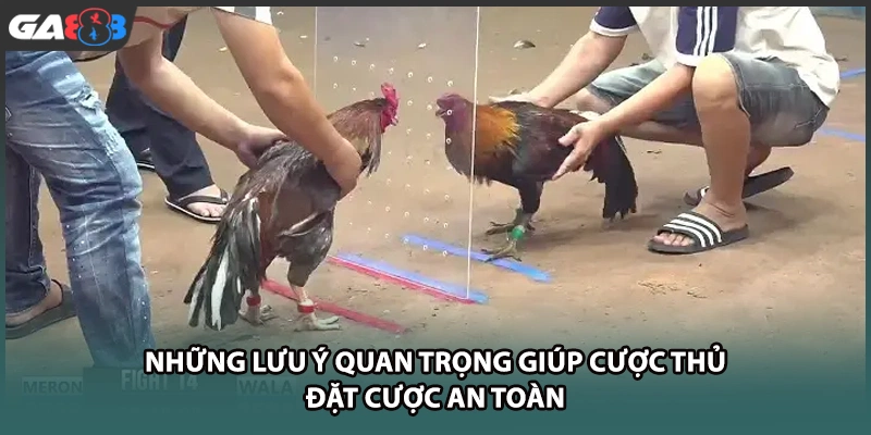Những lưu ý quan trọng giúp cược thủ đặt cược an toàn tại GA888