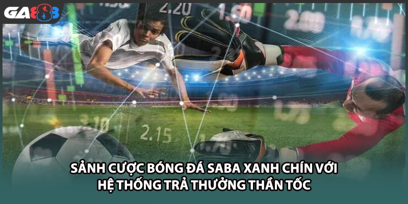 Sảnh cược bóng đá SABA xanh chín với hệ thống trả thưởng thần tốc tại GA888